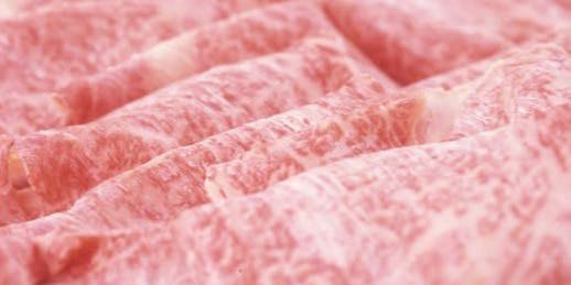 日本料理 水車本店