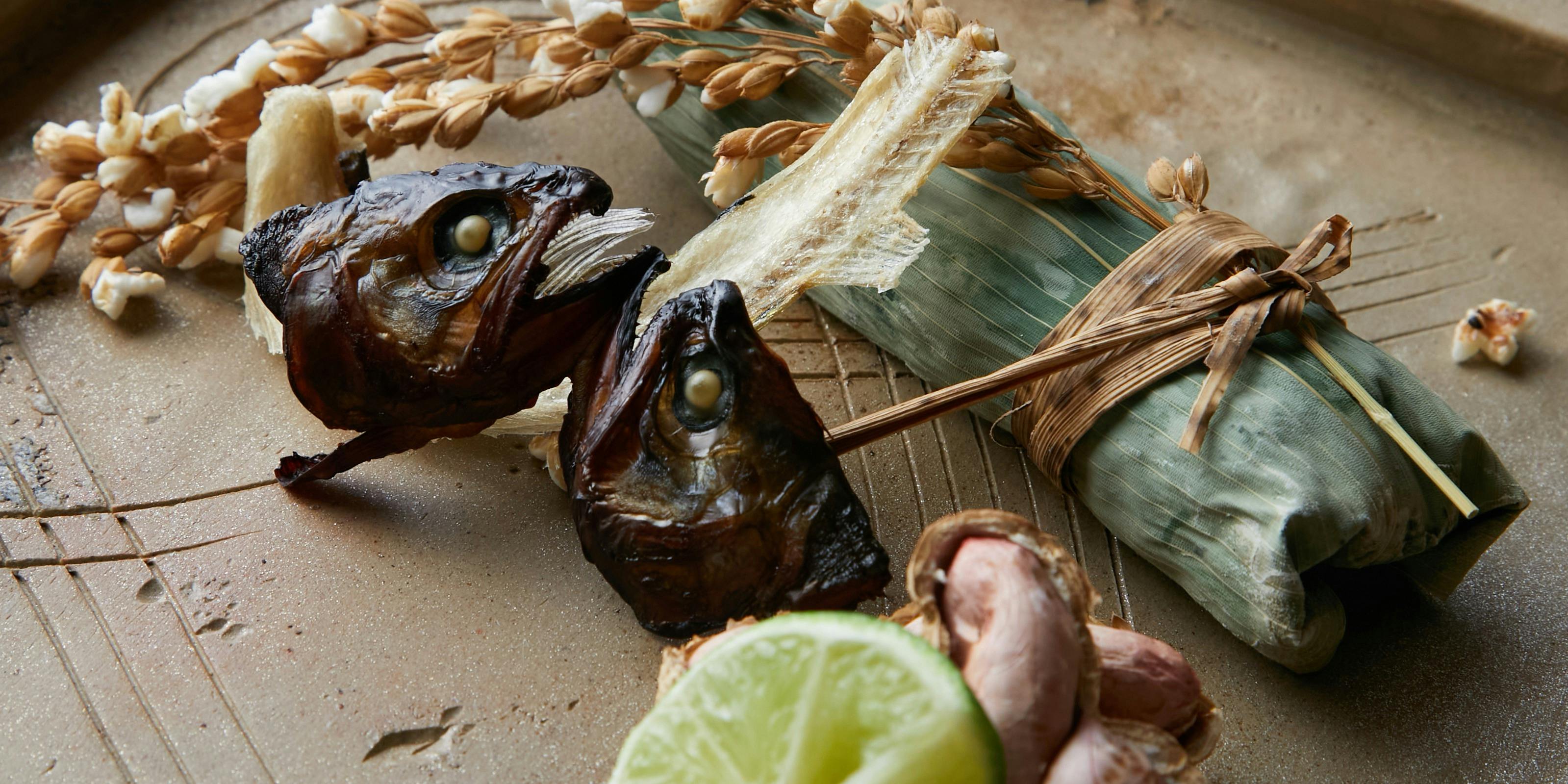 馳走 陽雅（チソウ ヨウガ）