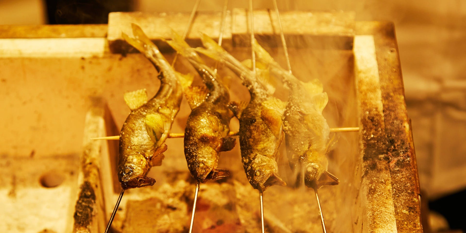 馳走 陽雅（チソウ ヨウガ）