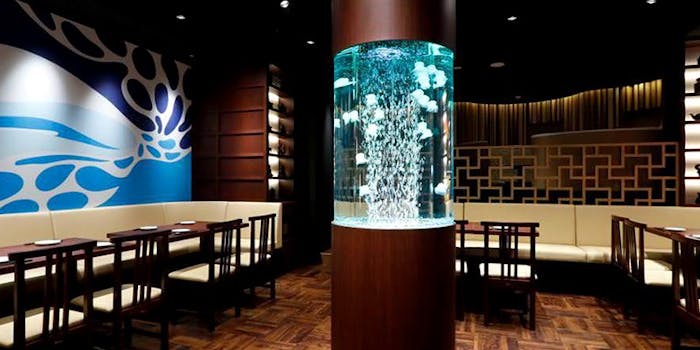 東京の夜景が綺麗にディナーで台湾料理が楽しめるおすすめレストラントップ2 一休 Comレストラン 東京の夜景が綺麗にディナーで台湾料理が楽しめるおすすめレストラントップ2 一休 Comレストラン