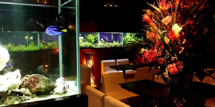 サルバシオン - 画像2