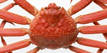 日本料理 味三昧 - 画像18