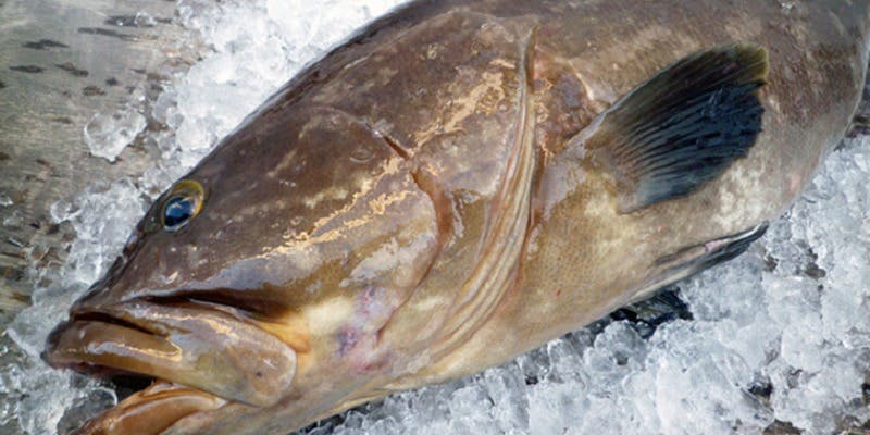 日本料理 味三昧 - 画像17