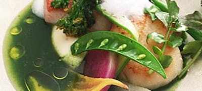 浅草花やしき周辺ランチ22 おすすめ 絶品お昼ごはん17選 一休 Comレストラン 浅草花やしき周辺ランチ22 おすすめ 絶品お昼ごはん17選 一休 Comレストラン