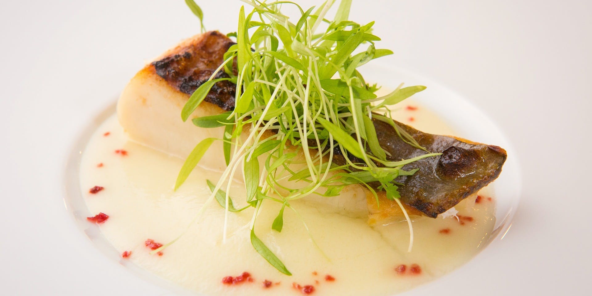 ラ・ターチ（La Tachi）