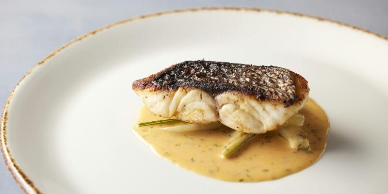 【平日限定/1日5席限定】シェフ渾身のランチコース全4品（特別価格）