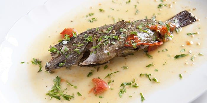 イタリア料理 カンパニョーラ