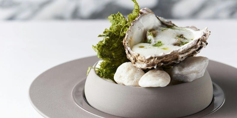 【cena C】旬の食材を詰め込んだ豪華なコース