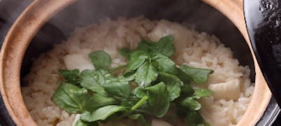 青山霊園の桜周辺ランチ21 おすすめ 絶品お昼ごはん18選 一休 Comレストラン 青山霊園の桜周辺ランチ21 おすすめ 絶品お昼ごはん18選 一休 Comレストラン