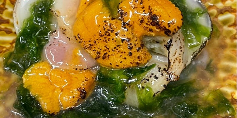 【慶】ベース　慶事におすすめ！その時々の最高の食材と食材に合わせた調理法をご堪能頂く全8品