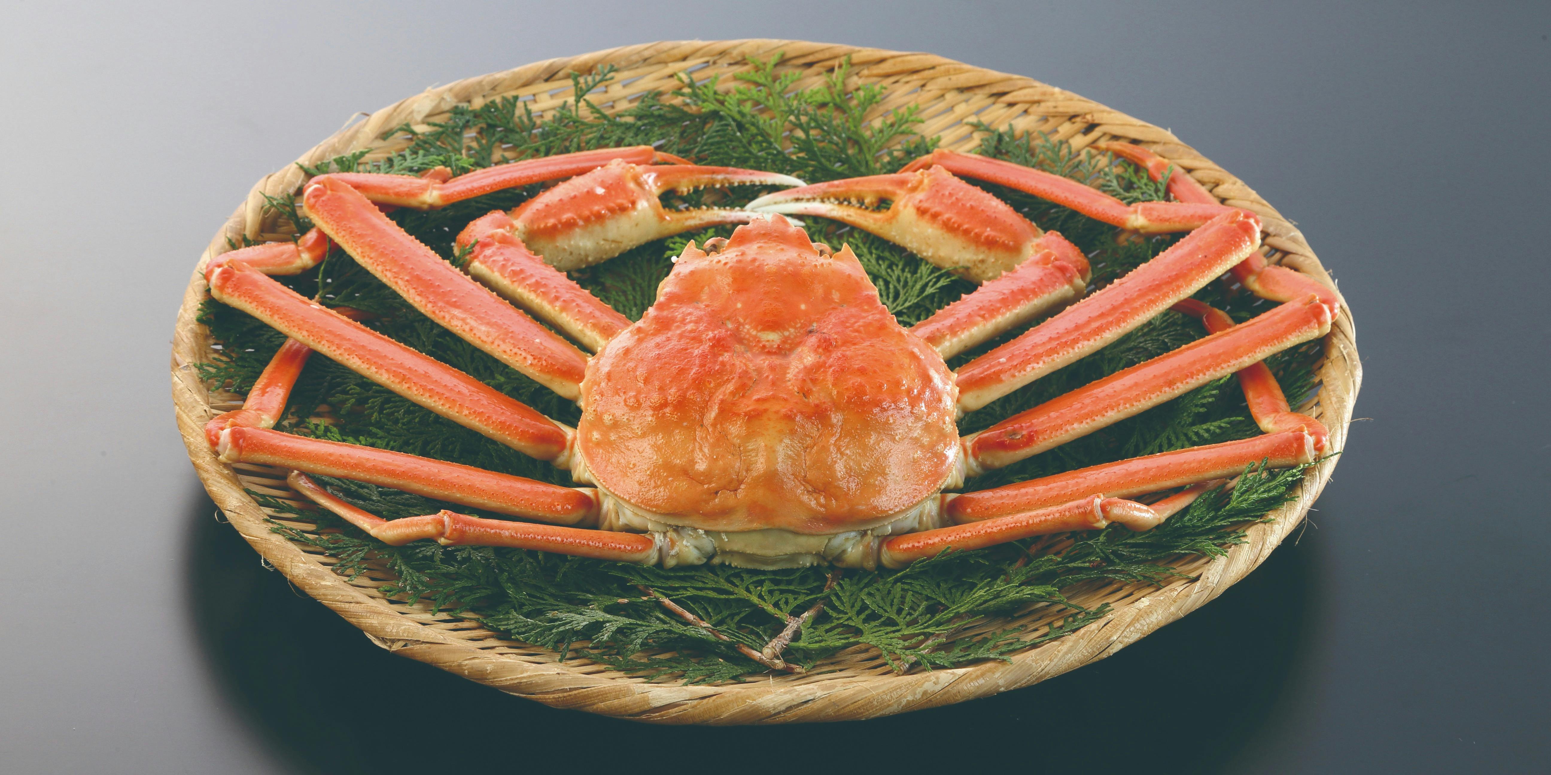 人形町 やま田 【活蟹三昧コース】 ディナー プラン(11827095