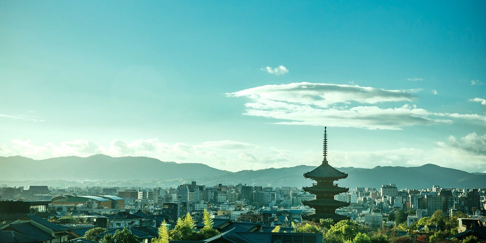レストランひらまつ 高台寺 - 画像15
