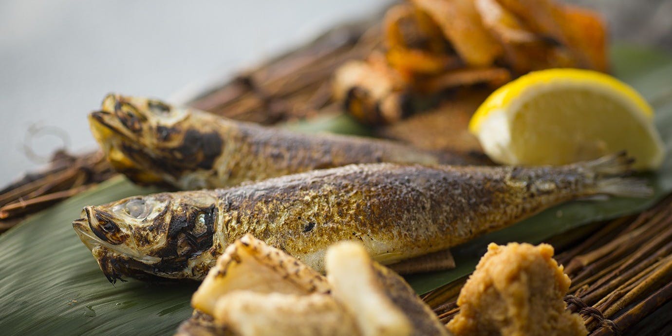 ダイナミックキッチン＆バー 燦 神戸（SUN）