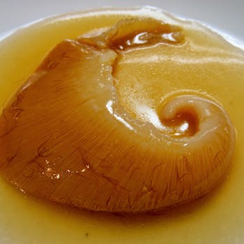 �ԍ� �؉x��