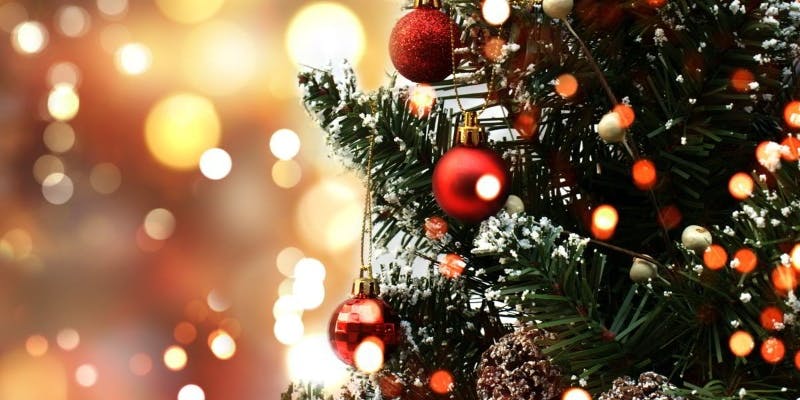 【Xmas2025】Corso 　全6品＋ペアリング～イタリアワインとともに