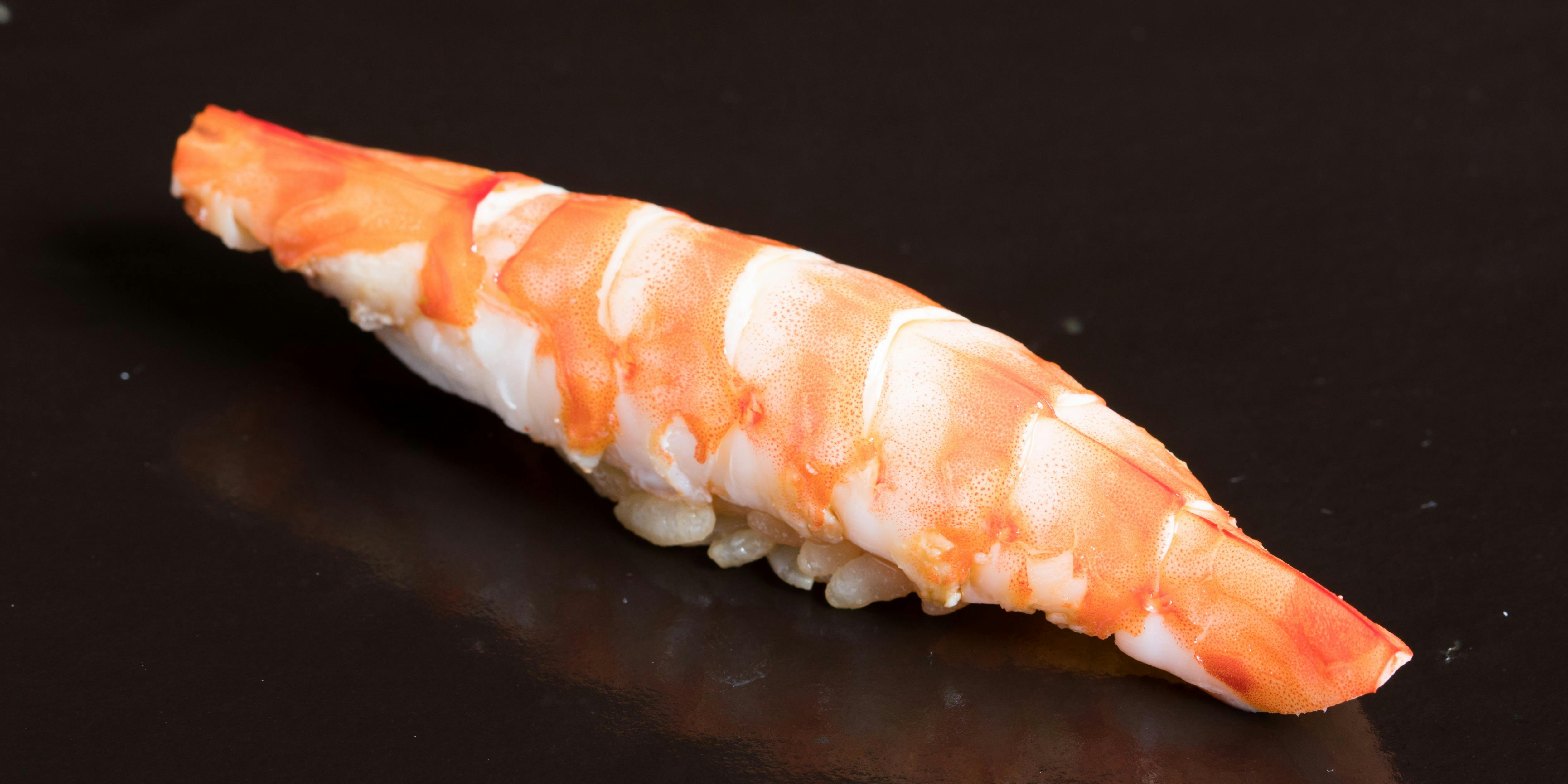 匠　達広（たつひろ）