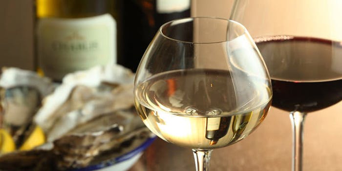 オイスター＆スパニッシュイタリアンバル スパイラル - 画像9