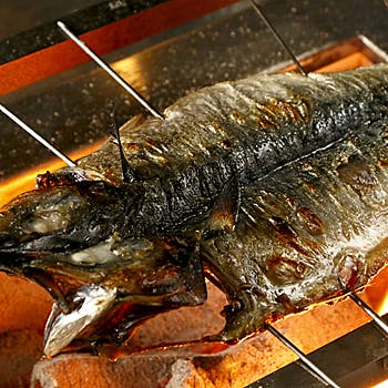 イタリアン 産直青魚専門 渋谷 御厨 Okaimonoモール レストラン