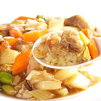 雅苑酒家 南京町本店 (ガエンシュカ) - 元町/広東料理 [一休.com 