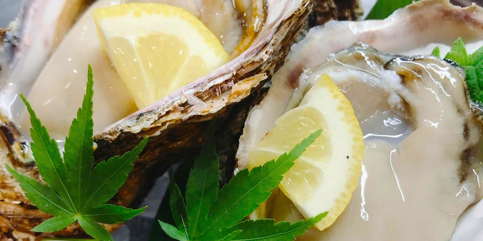 銀座方舟 桜木町クロスゲート店