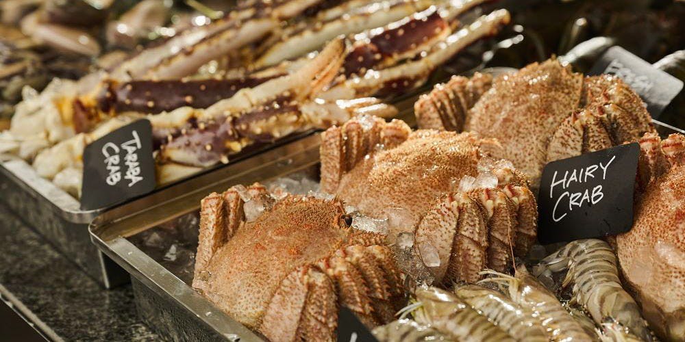 BLUE BIRDS ROOF TOP TERRACE