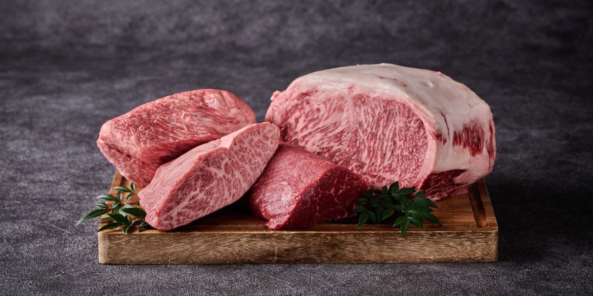 BLUE BIRDS ROOF TOP TERRACE - 画像5