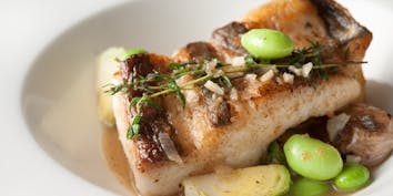 【シェフおまかせコース】前菜・お魚＆お肉料理のWメイン・デザート 全4品 - レストラン オカダ