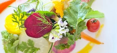 21年 最新 江ノ島駅周辺の美味しいディナー6店 夜ご飯におすすめな人気店 一休 Comレストラン 21年 最新 江ノ島駅周辺の美味しいディナー6店 夜ご飯におすすめな人気店 一休 Comレストラン