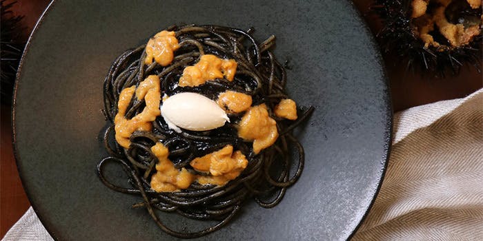 フィーコディンディア