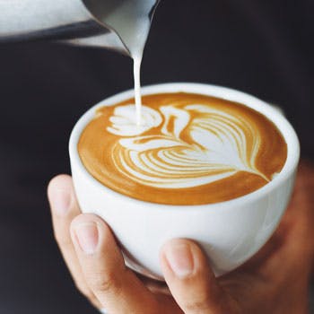 武蔵新田ランチ 人気おしゃれカフェ4選 Okaimonoモール レストラン