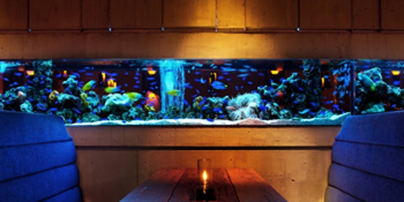 22年 最新 新宿駅周辺の美味しいディナー30店 夜ご飯におすすめな人気店 一休 Comレストラン