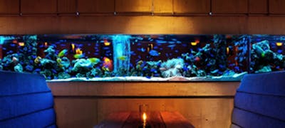 22年 最新 新宿バルト9周辺の美味しいディナー21店 夜ご飯におすすめな人気店 一休 Comレストラン 22年 最新 新宿バルト9周辺の美味しいディナー21店 夜ご飯におすすめな人気店 一休 Comレストラン
