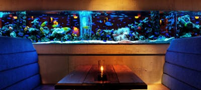 21年 最新 歌舞伎町周辺の美味しいディナー23店 夜ご飯におすすめな人気店 一休 Comレストラン 21年 最新 歌舞伎町周辺の美味しいディナー23店 夜ご飯におすすめな人気店 一休 Comレストラン