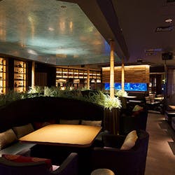 ディナー アクアリウムダイニング 新宿ライム アクアリウムダイニング シンジュクライム 新宿 アクアリウムダイニング 一休 Comレストラン ディナー アクアリウムダイニング 新宿ライム アクアリウムダイニング シンジュクライム 新宿 アクアリウムダイニング 一休 Comレストラン