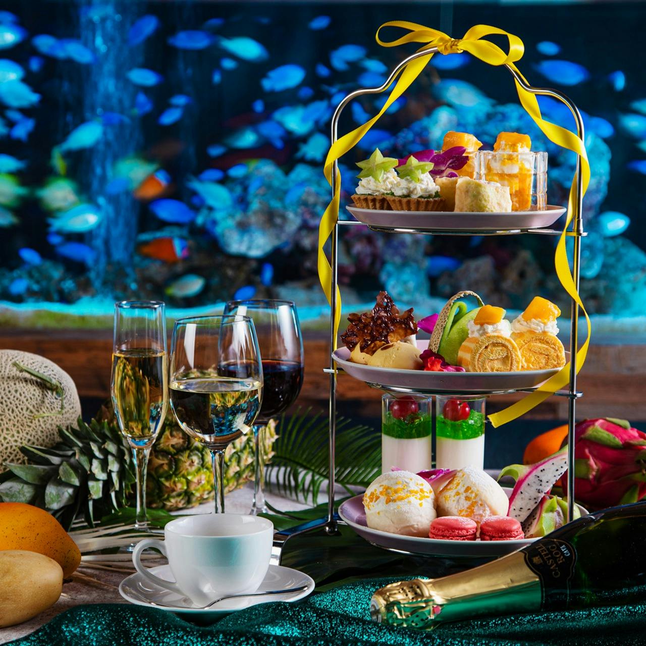 アクアリウムダイニング 新宿ライム アクアリウムダイニング シンジュクライム 新宿 アクアリウムダイニング 一休 Comレストラン