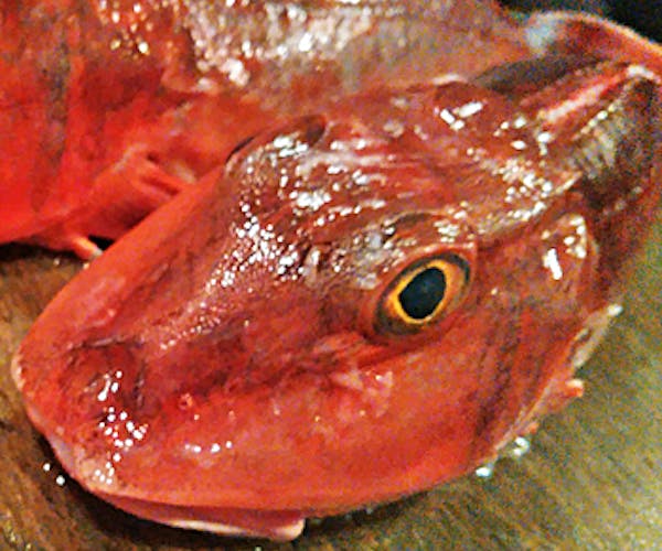 ディナー おしゃれ 魚ませませ Okaimonoモール レストラン ディナー おしゃれ 魚ませませ Okaimonoモール レストラン