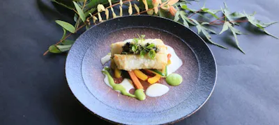 2e57o29oyxqunm 2e57o29oyxqunm