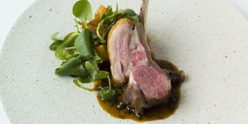 【シェフコース】旬の食材を含む 全7品　