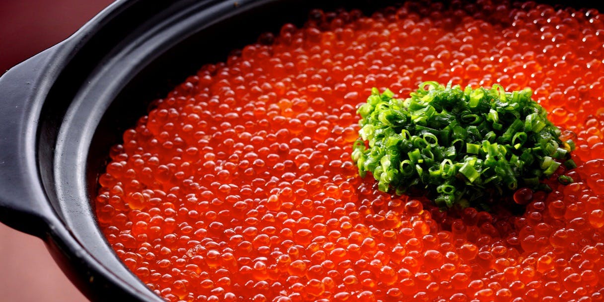 三瀧荘（ミタキソウ）