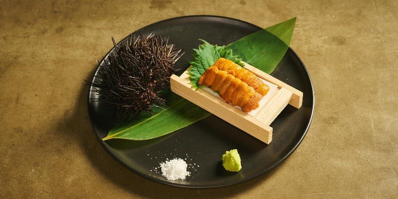 【和牛うにく＆雲丹出汁アクアパッツァコース】箱ウニ刺やウニいくら土鍋ご飯等全8品