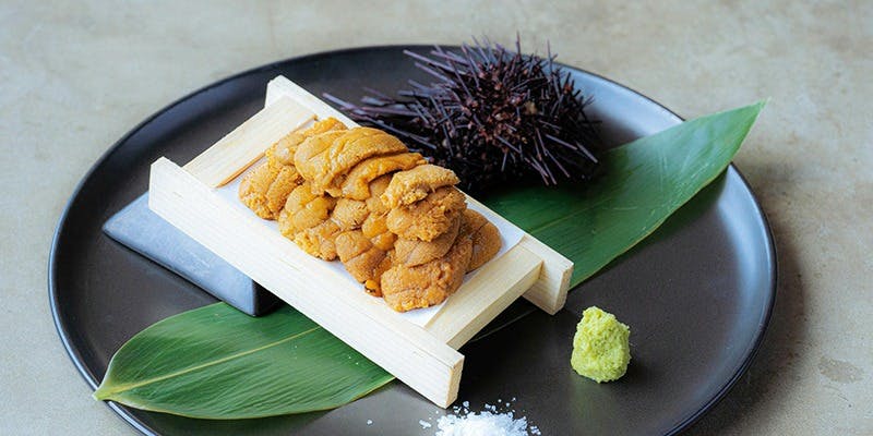 UNIHOLIC（ウニホリック）