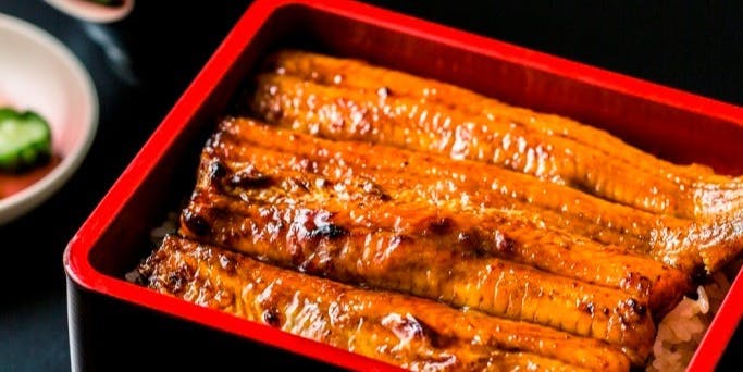 うなぎ仲じま ホテルマイステイズプレミア札幌パーク 郷土料理 その他 一休 Comレストラン うなぎ仲じま ホテルマイステイズプレミア札幌パーク 郷土料理 その他 一休 Comレストラン