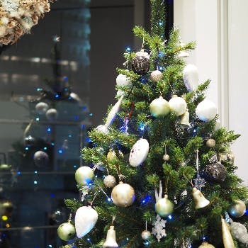 四谷三丁目 クリスマス ディナー 2021 人気おしゃれレストラン27選 Okaimonoモール レストラン
