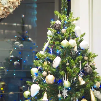 四谷三丁目 クリスマス ディナー 2021 人気おしゃれレストラン27選 Okaimonoモール レストラン