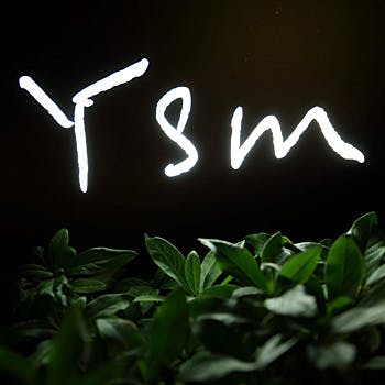 Ysm