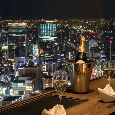 カレッタ汐留46F、地上200mから眺める圧巻のパノラマ夜景