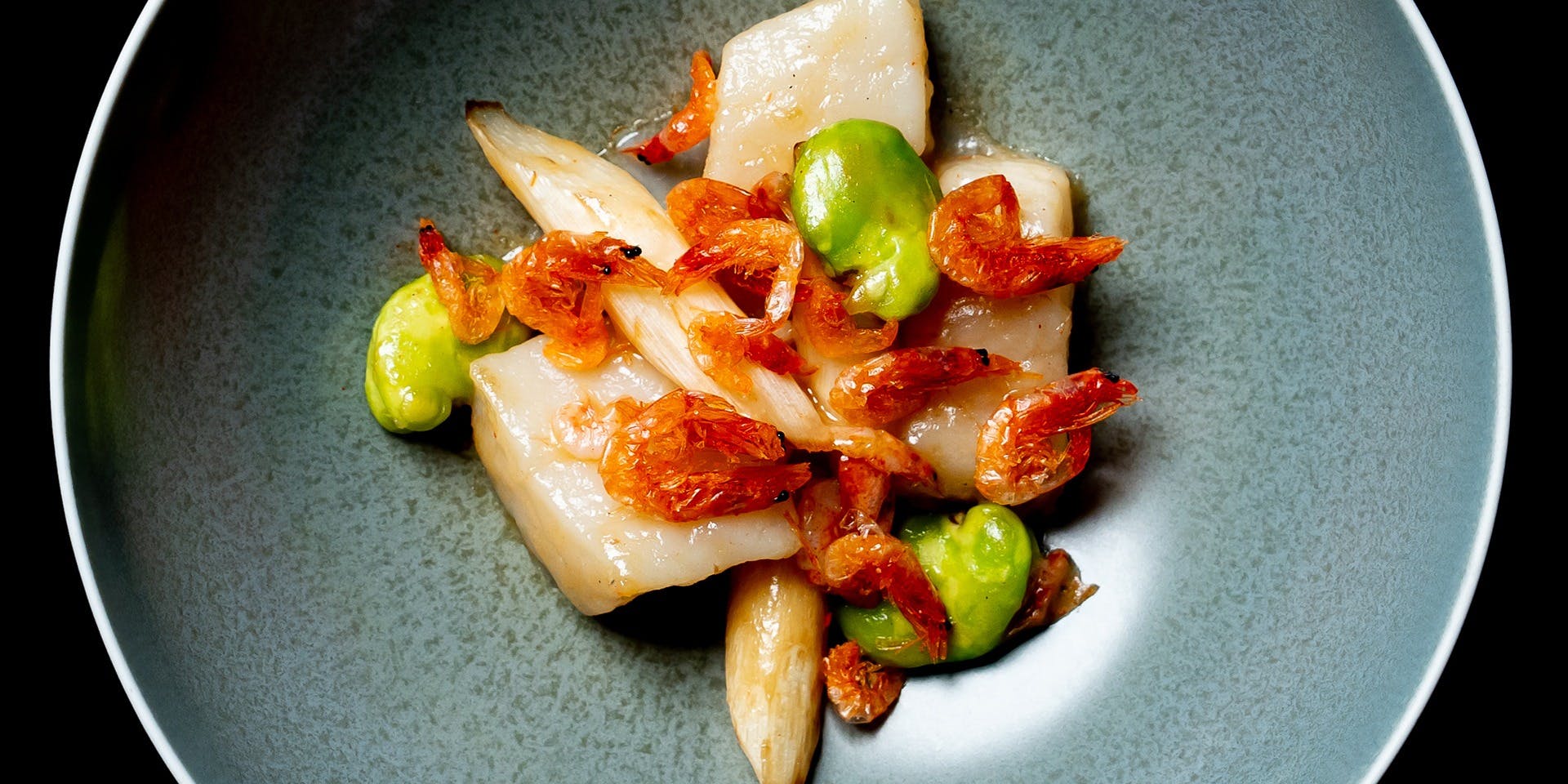 THE CONDER HOUSE（ザ コンダーハウス）