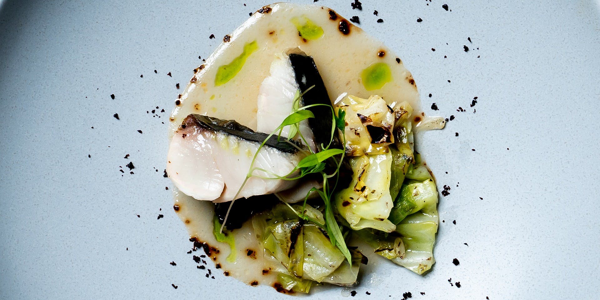 THE CONDER HOUSE（ザ コンダーハウス）