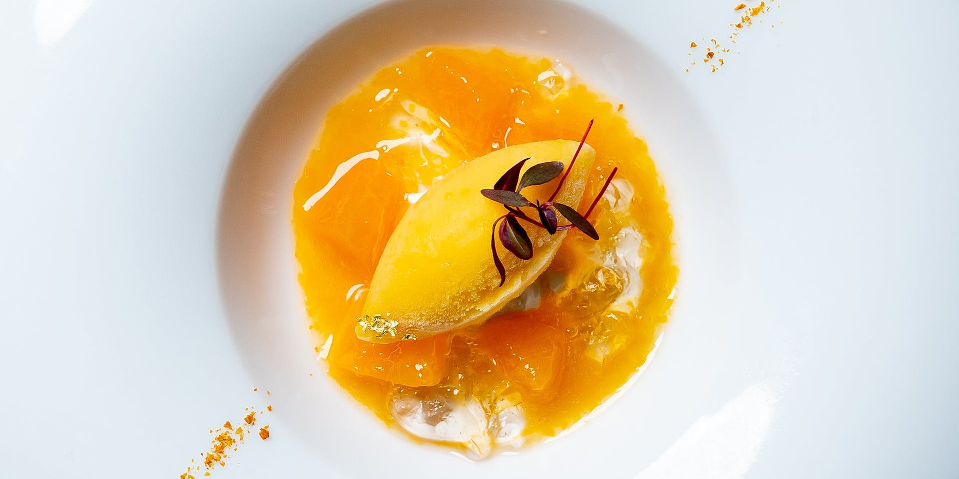 THE CONDER HOUSE（ザ コンダーハウス）