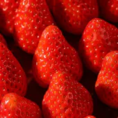 ガーデニア/ホテルマイステイズプレミア成田